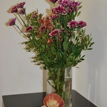 בית נופש & Mar