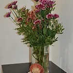 בית נופש & Mar